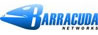 barracuda internet security